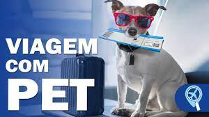 Azul passa a transportar pets na cabine em voos para Portugal.