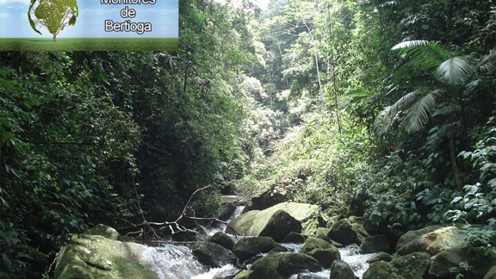 Bertioga: Campanha valoriza ecoturismo e leva amantes da natureza para conhecer trilhas.