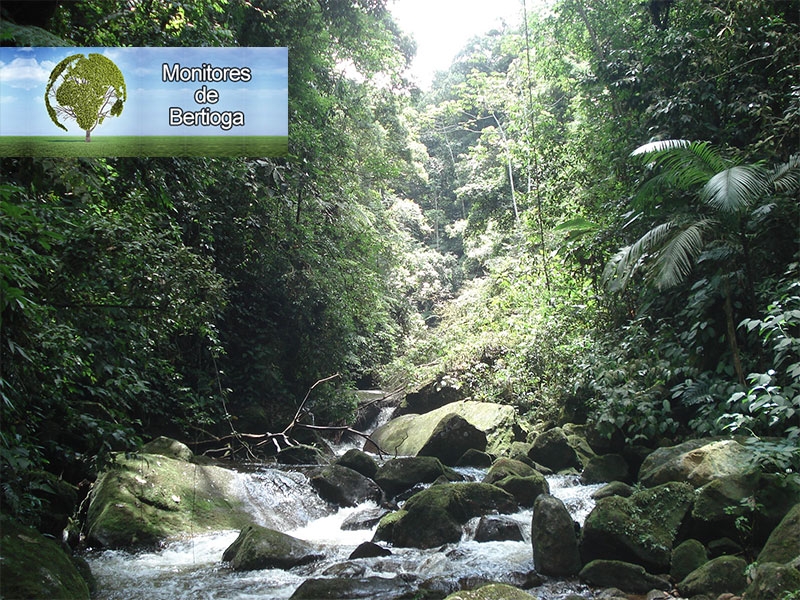 Bertioga: Campanha valoriza ecoturismo e leva amantes da natureza para conhecer trilhas.