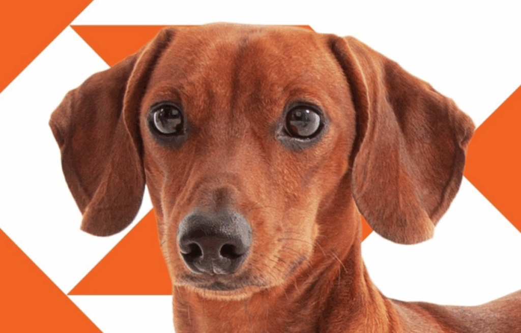 AMORTECEDOR COFAP - Líder na Reposição e no Mercado Original