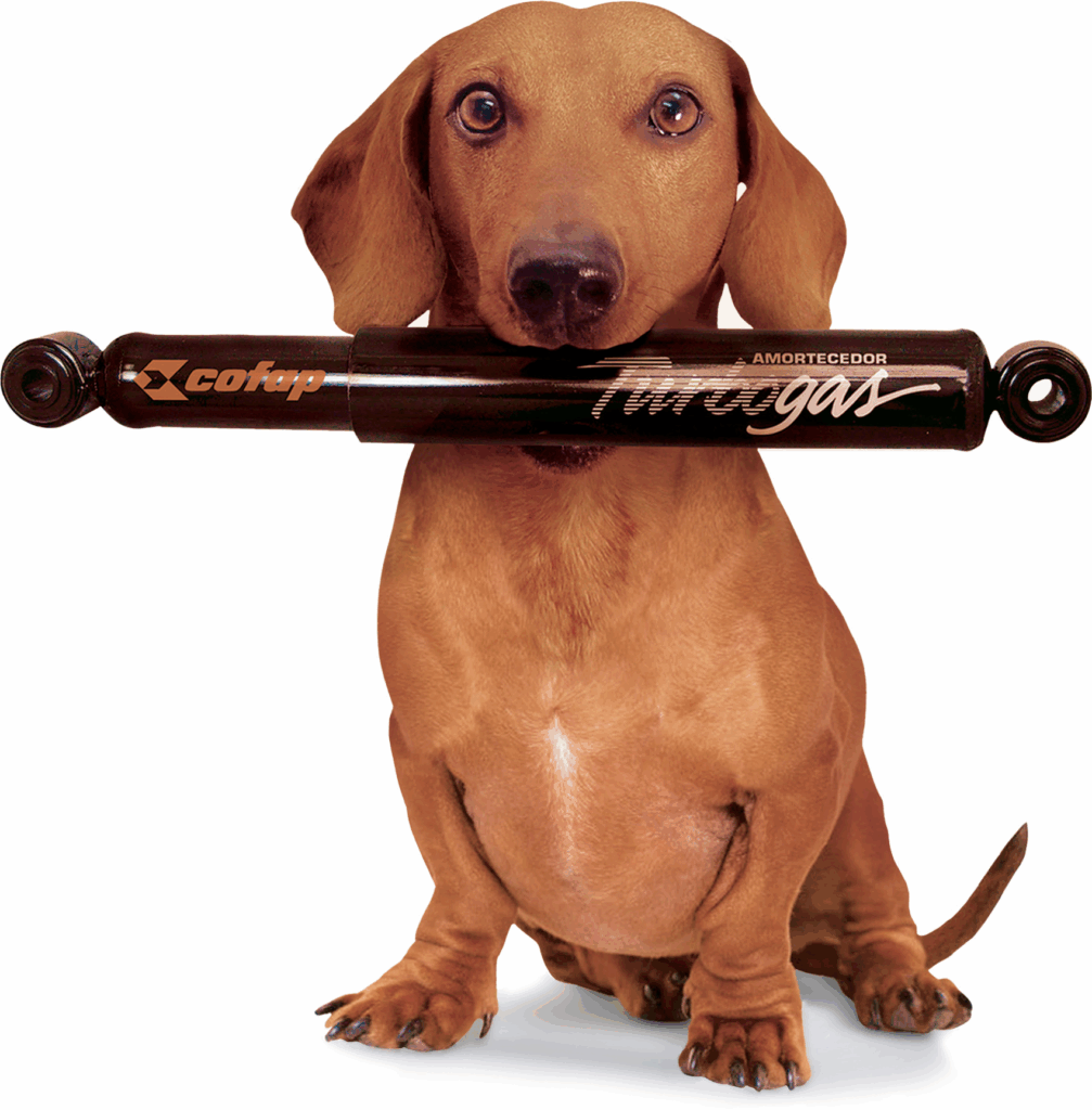 AMORTECEDOR COFAP - Líder na Reposição e no Mercado Original
