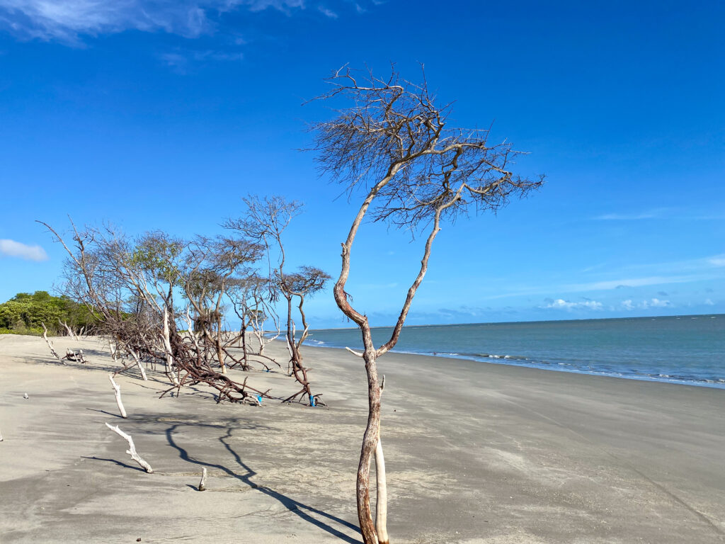 Imersão, IA, viagens solo, bem-estar e tendências para o Turismo em 2025