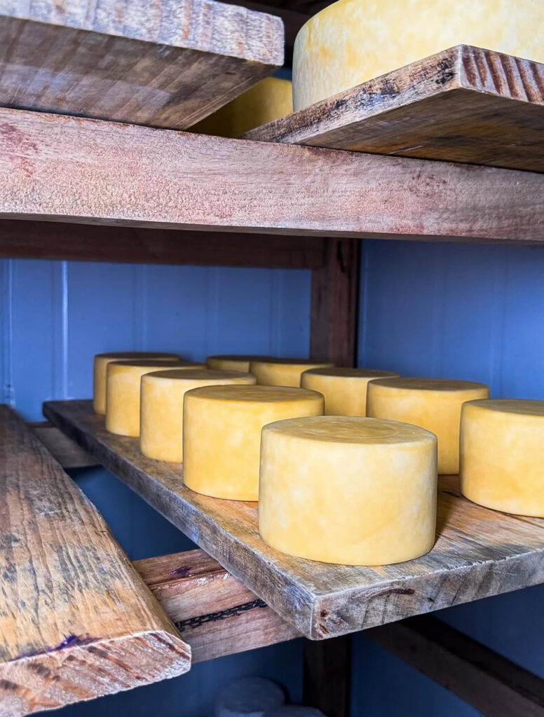 Queijaria de estilo suíço é atração da rota turística de Ouro Verde de Goiás