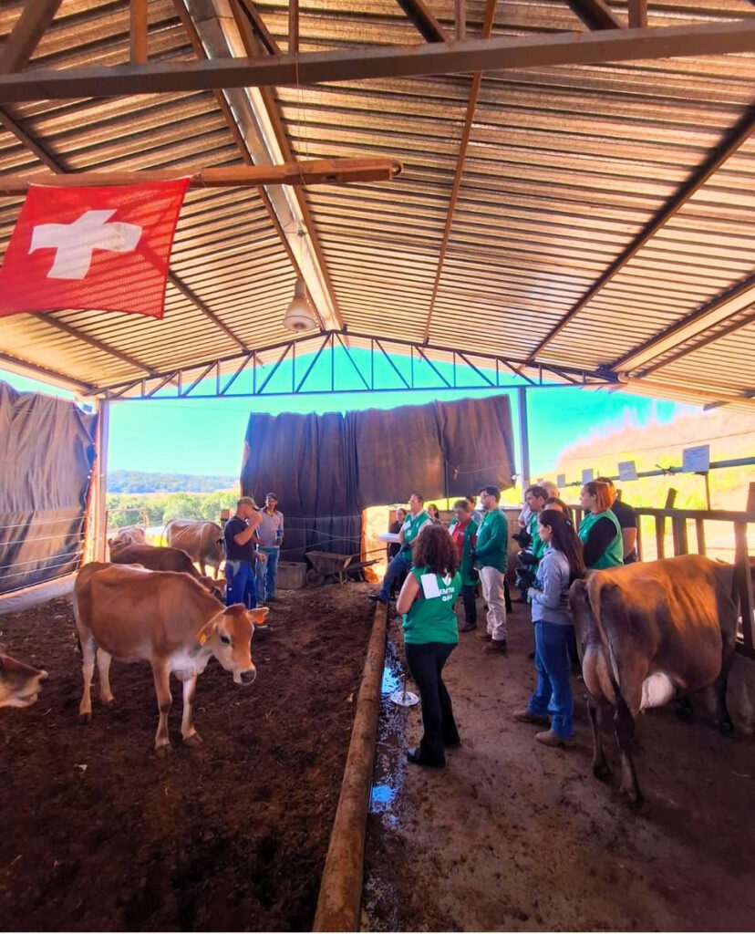 Queijaria de estilo suíço é atração da rota turística de Ouro Verde de Goiás
