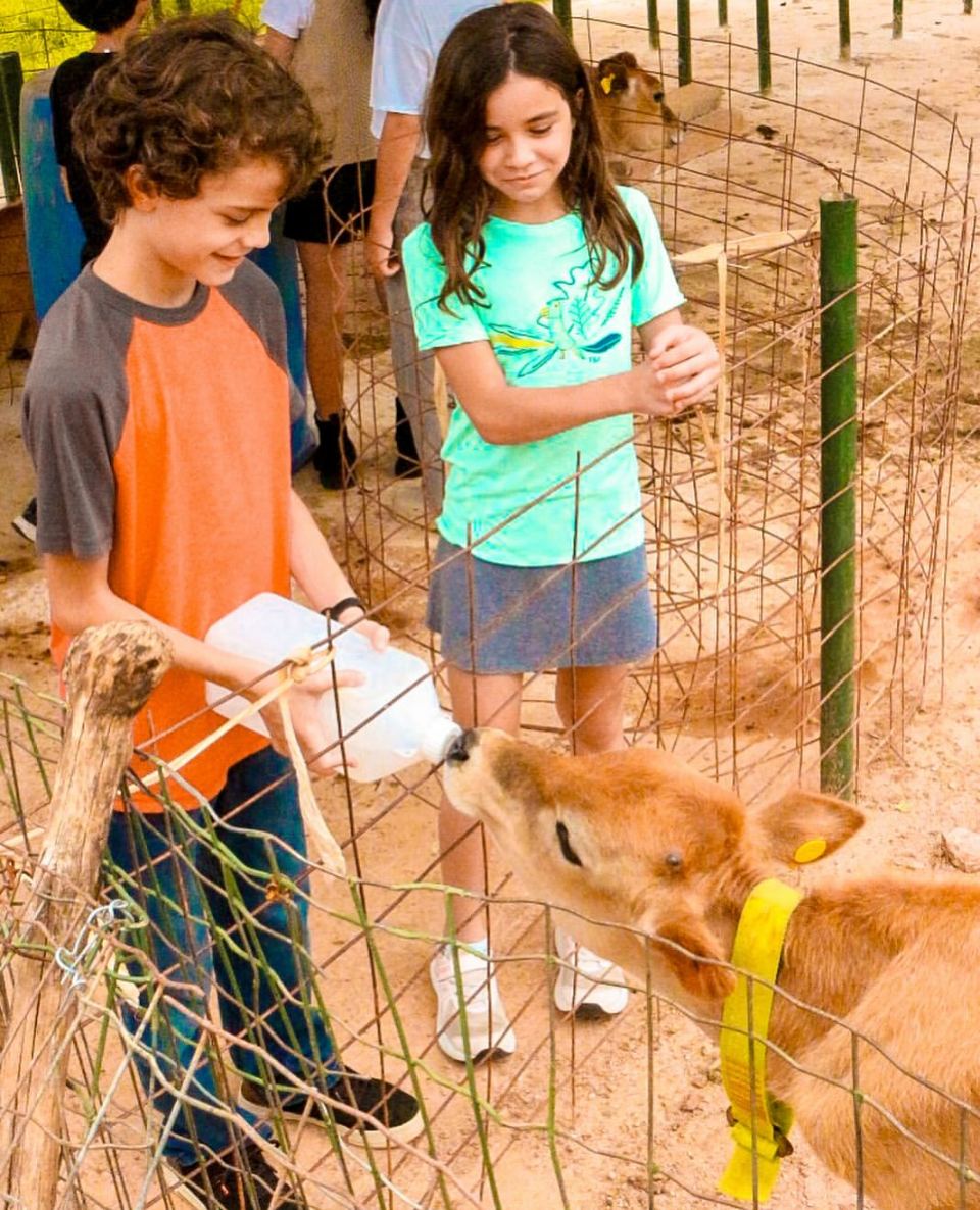 Queijaria de estilo suíço é atração da rota turística de Ouro Verde de Goiás