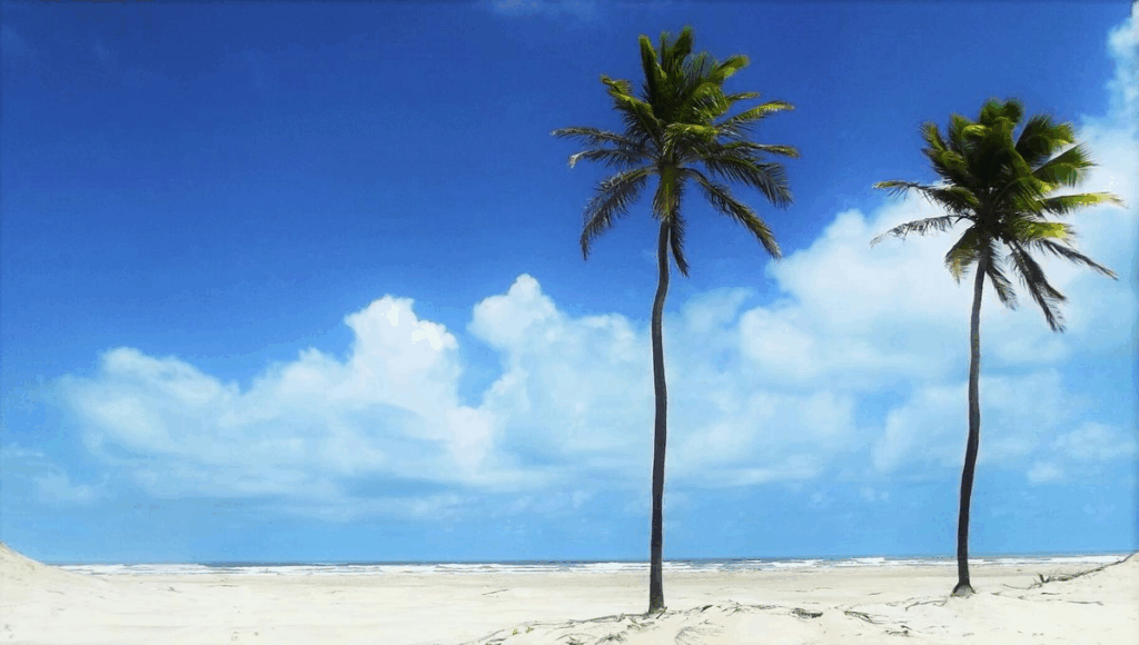 Conheça a Praia do Saco, a joia de Sergipe e descubra o refúgio perfeito na Pousada Mares