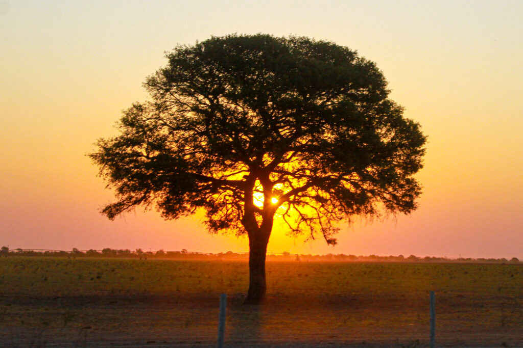 Experience Motoractionbrasil