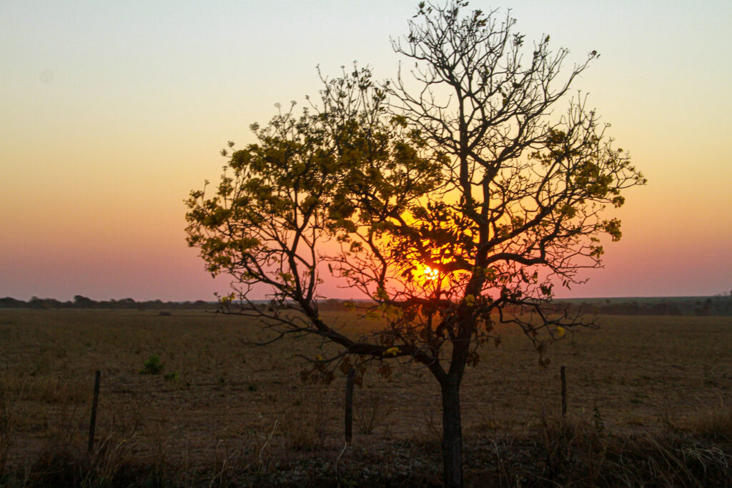 Experience Motoractionbrasil
