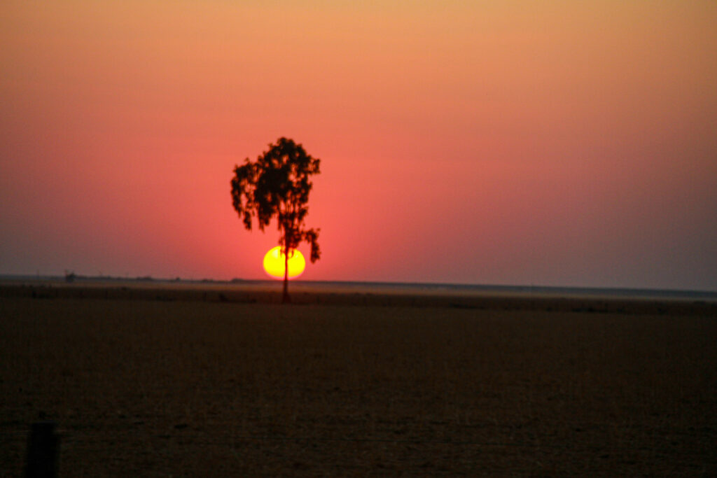 Experience Motoractionbrasil