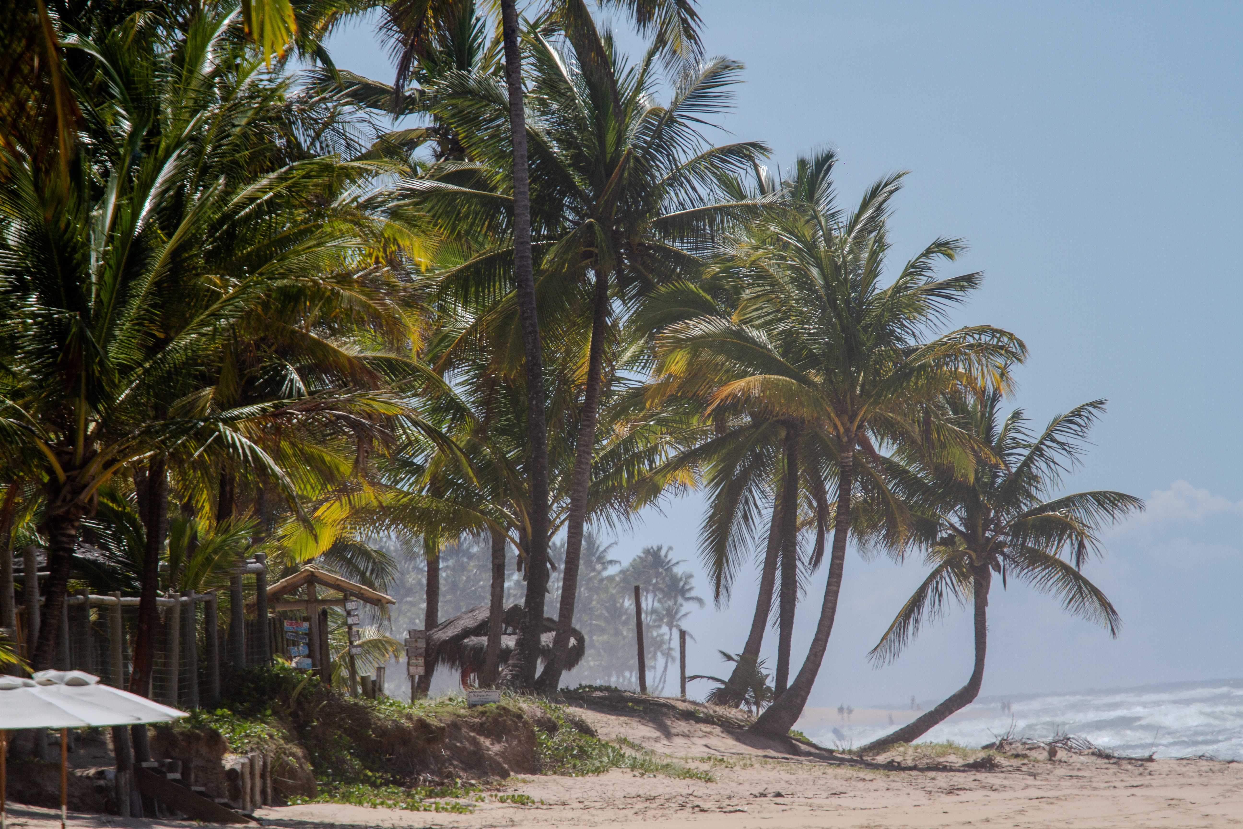 Akua Concept nos Caminhos do Brasil