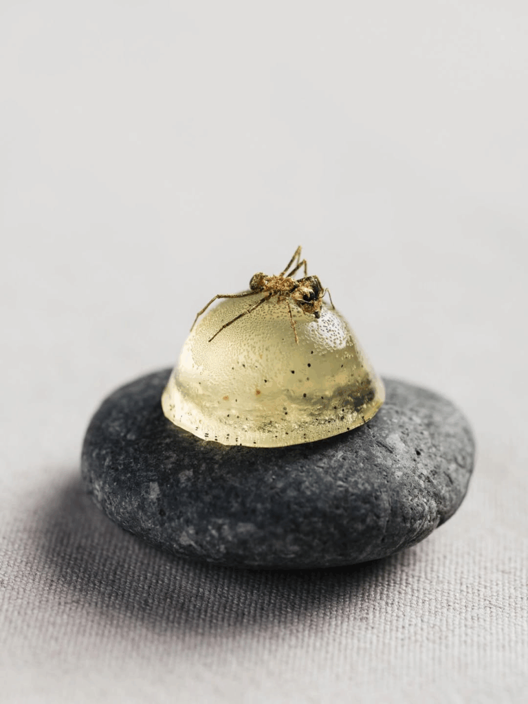 Restaurante D.O.M, do Chef Alex Atala, revela novo menu degustação em São Paulo