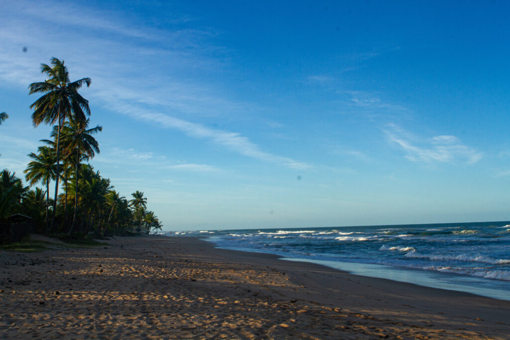 Akua Concept nos Caminhos do Brasil