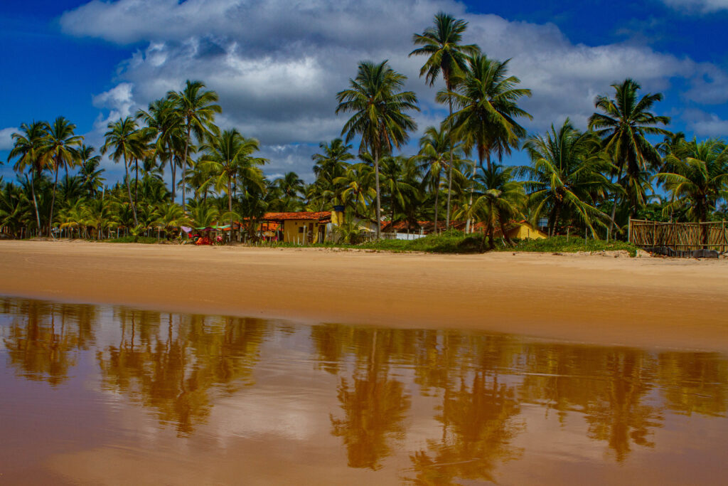 Akua Concept nos Caminhos do Brasil