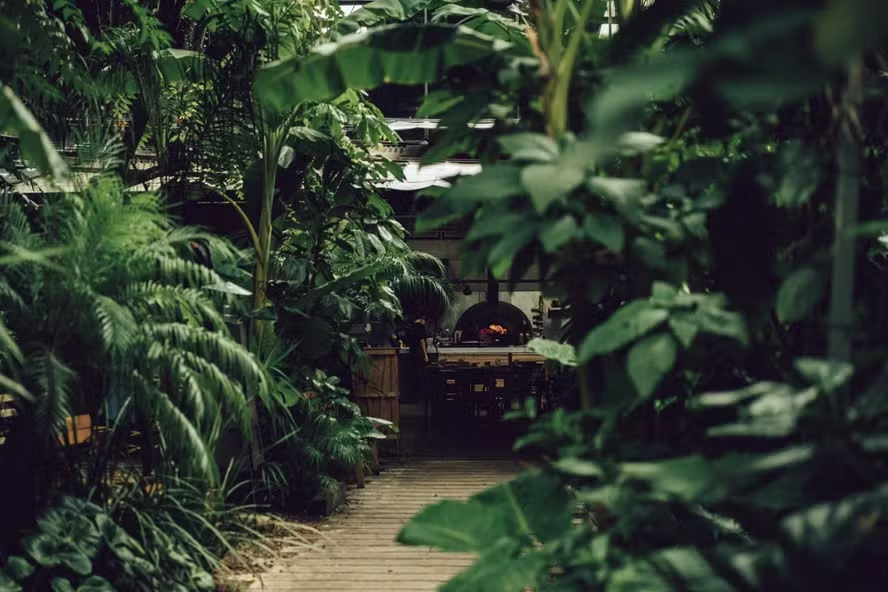 Buenos Aires: um mapa da boa gastronomia portenha em 10 bocadas