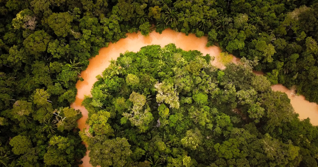 Amazon Emotions é finalista do Prêmio de Turismo Responsável da WTM Latin America 2026