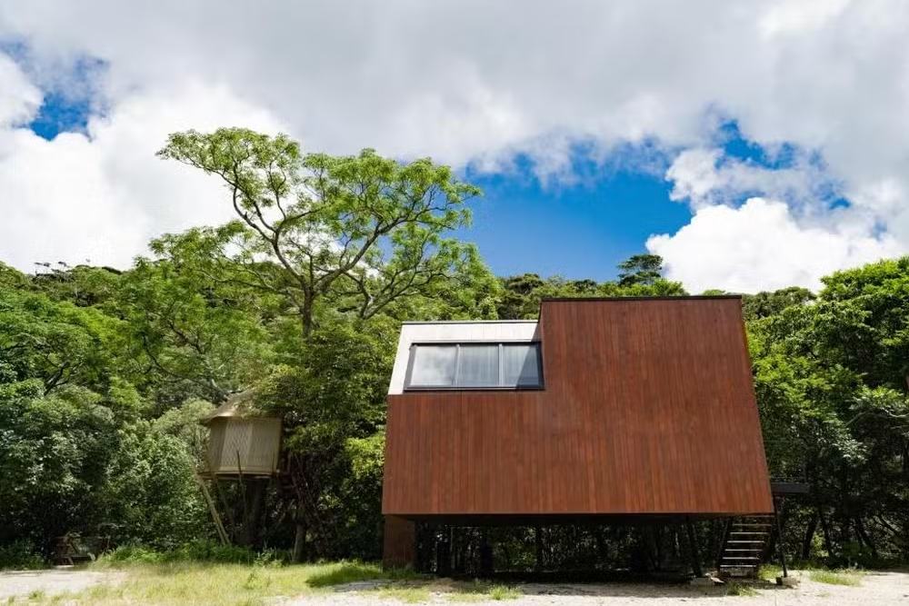 Japão tem resort sustentável de casas nas árvores