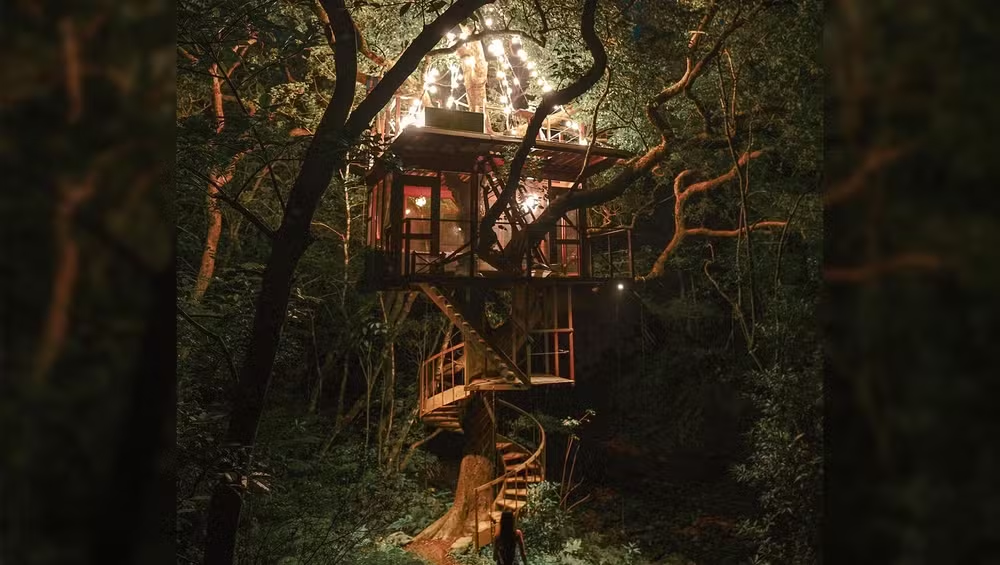 Japão tem resort sustentável de casas nas árvores
