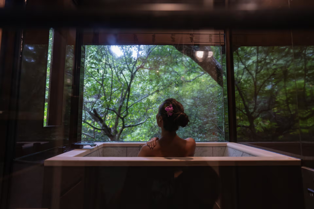 Japão tem resort sustentável de casas nas árvores