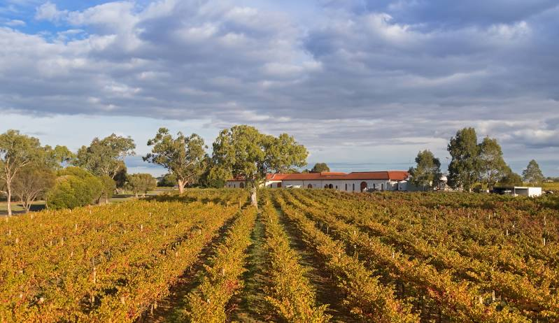 O melhor da Austrália: praia, deserto, urbanismo e zero estresse