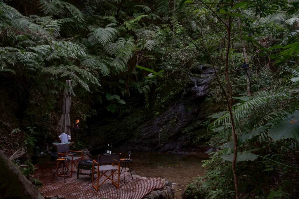 Japão tem resort sustentável de casas nas árvores