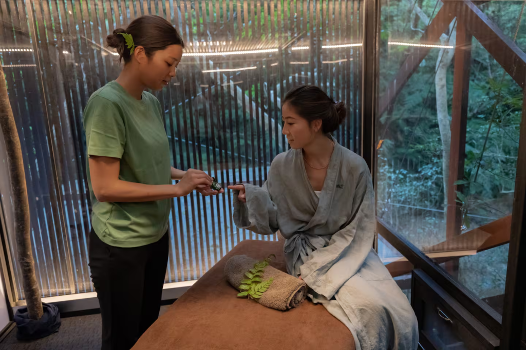 Japão tem resort sustentável de casas nas árvores