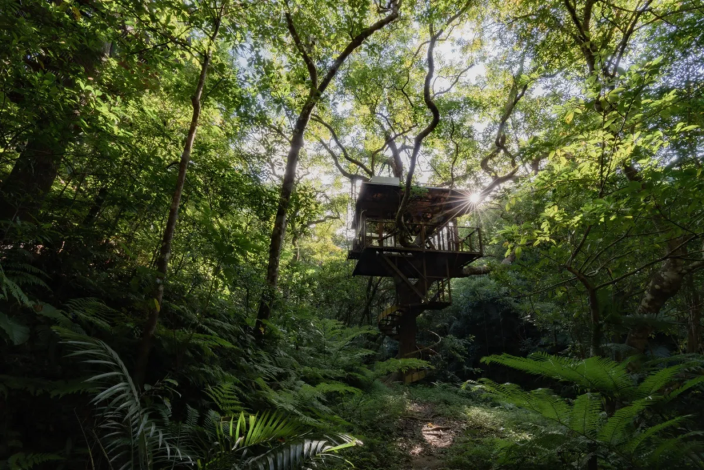 Japão tem resort sustentável de casas nas árvores