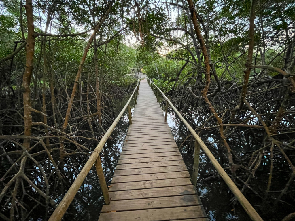 O Awê Villa Boutique é o refúgio perfeito em Trancoso