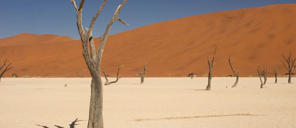 O que faz da Namíbia um dos destinos mais extraordinários do planeta?