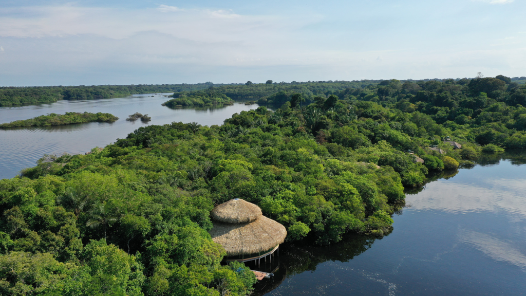 Juma Amazon Lodge: uma experiência de hospedagem em meio à floresta amazônica