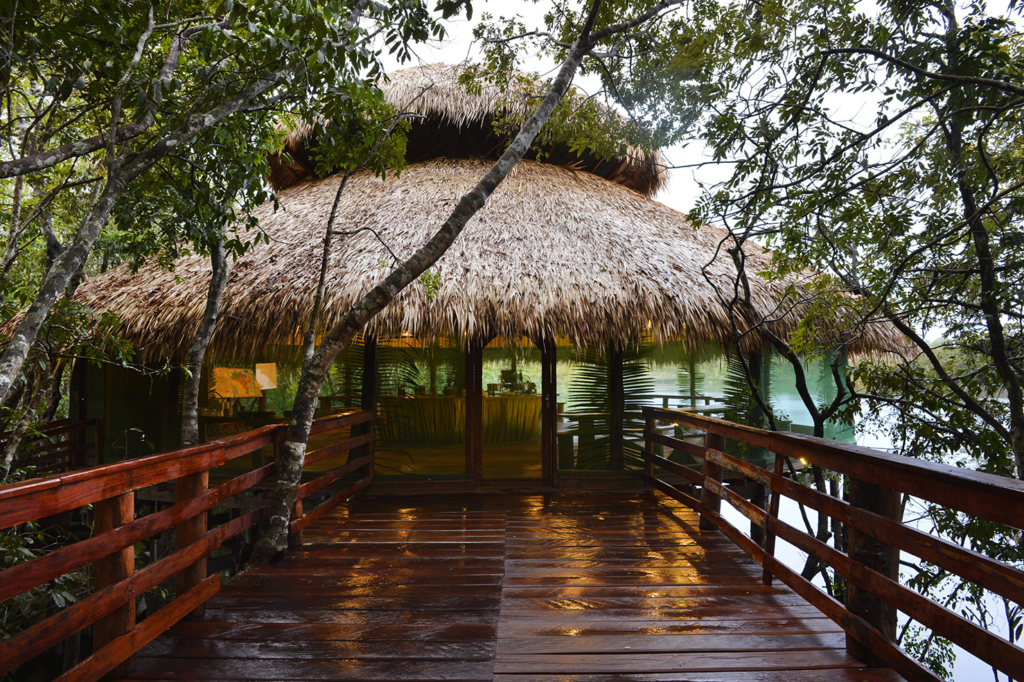 Juma Amazon Lodge: uma experiência de hospedagem em meio à floresta amazônica