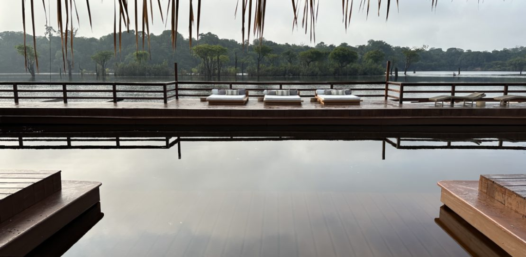 Juma Amazon Lodge: uma experiência de hospedagem em meio à floresta amazônica