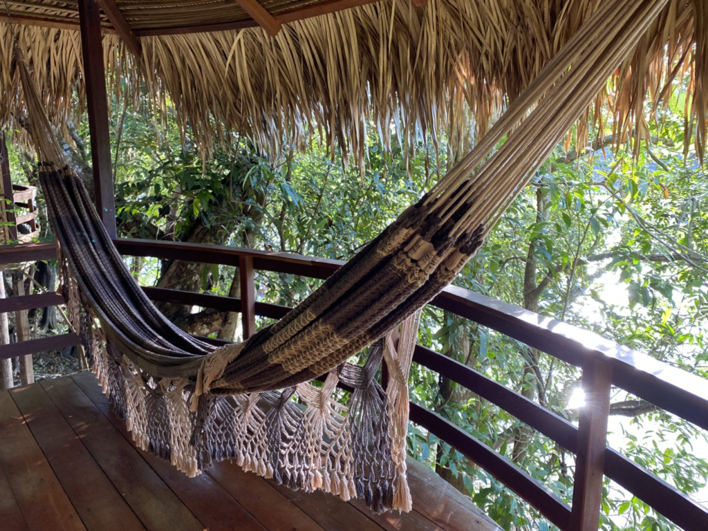 Juma Amazon Lodge: uma experiência de hospedagem em meio à floresta amazônica