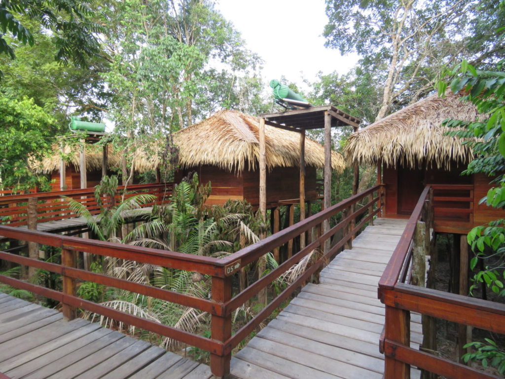 Juma Amazon Lodge: uma experiência de hospedagem em meio à floresta amazônica
