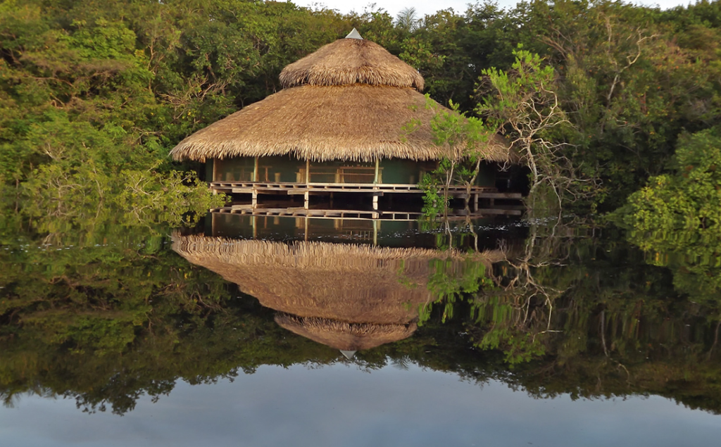 Juma Amazon Lodge: uma experiência de hospedagem em meio à floresta amazônica