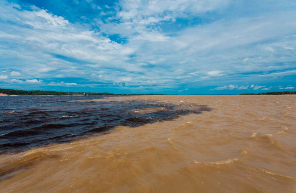 Juma Amazon Lodge: uma experiência de hospedagem em meio à floresta amazônica