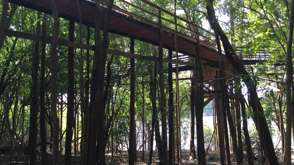 Juma Amazon Lodge: uma experiência de hospedagem em meio à floresta amazônica
