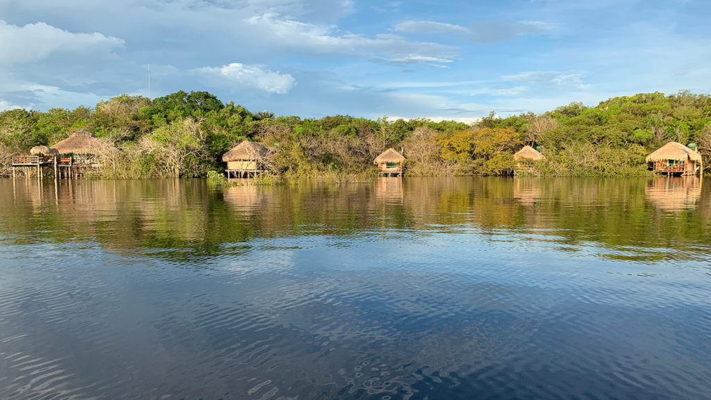 Juma Amazon Lodge: uma experiência de hospedagem em meio à floresta amazônica