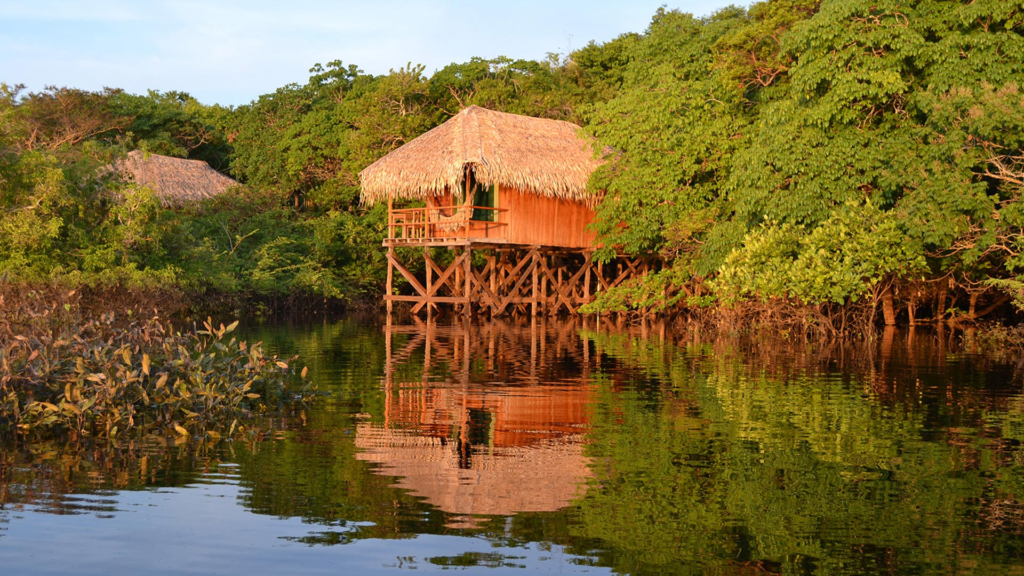 Juma Amazon Lodge: uma experiência de hospedagem em meio à floresta amazônica