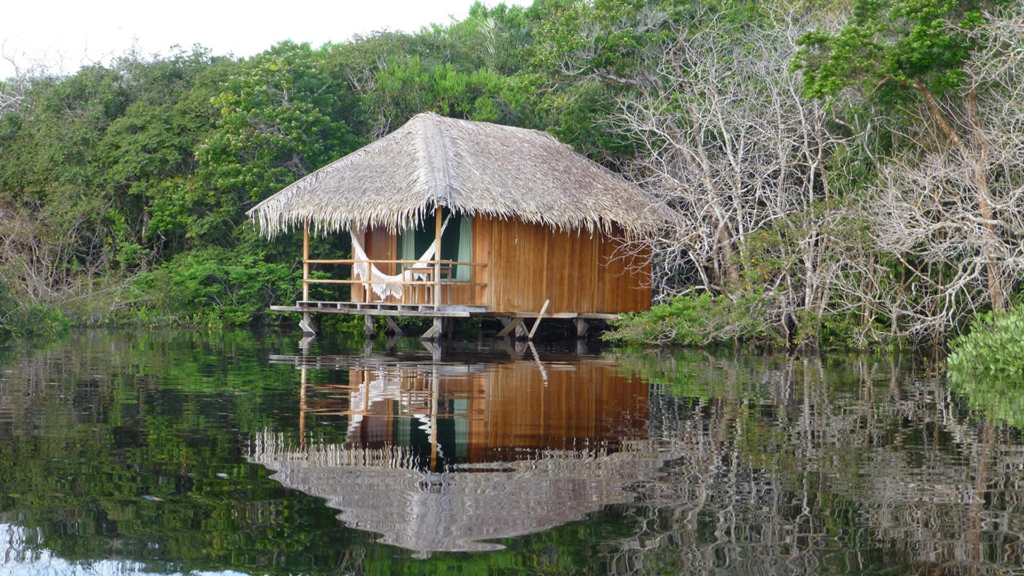 Juma Amazon Lodge: uma experiência de hospedagem em meio à floresta amazônica