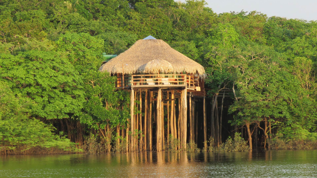 Juma Amazon Lodge: uma experiência de hospedagem em meio à floresta amazônica