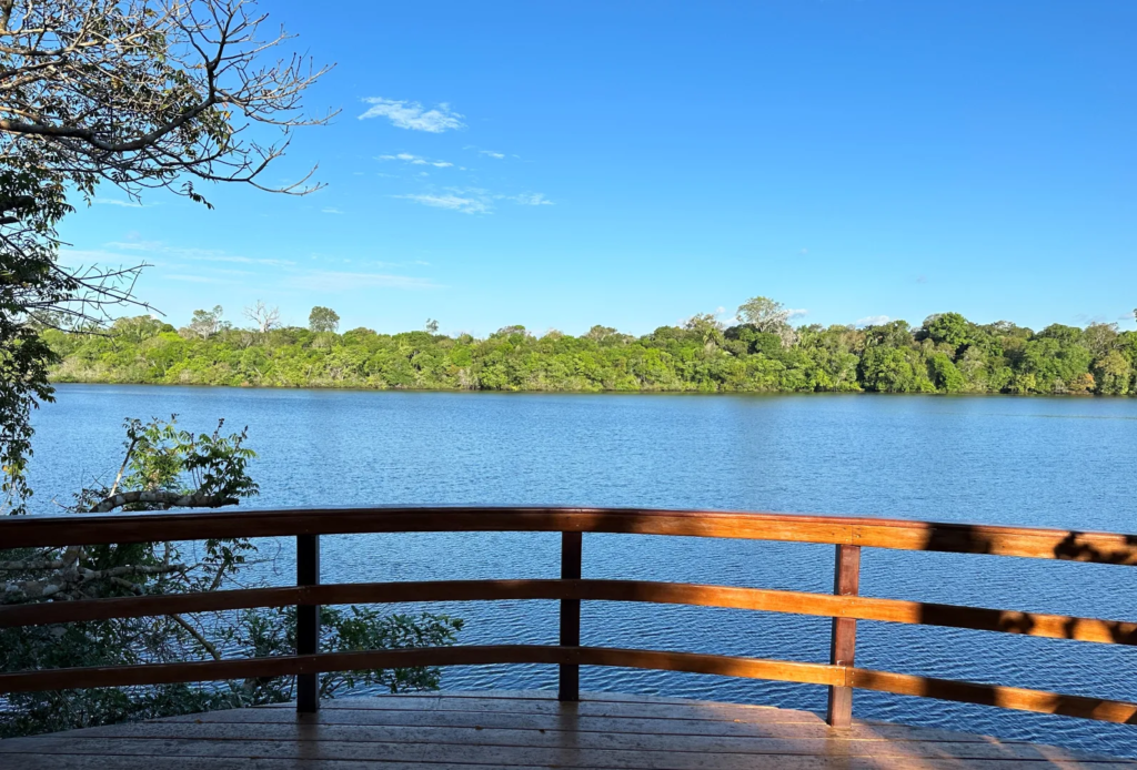 Juma Amazon Lodge: uma experiência de hospedagem em meio à floresta amazônica